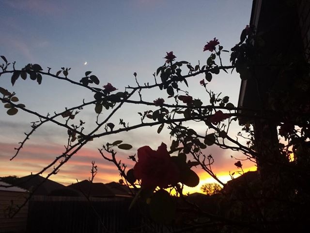 Sunset in Killeen